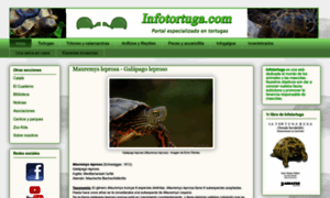 Infotortuga.com thumbnail