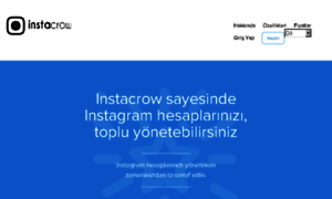 Instacrow.com thumbnail