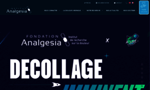 Institut-analgesia.org thumbnail