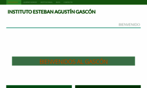 Institutogascon.com.ar thumbnail