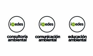 Institutoimedes.com thumbnail