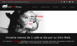 Internetninjas.com.mx thumbnail