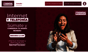 Internetparaelbienestar.mx thumbnail