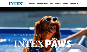 Intexcorp.com thumbnail