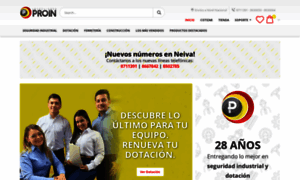 Inversionesproin.com thumbnail