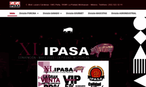 Ipasa.com.mx thumbnail