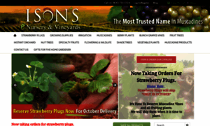 Isons.com thumbnail