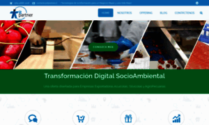 Itpartner.cl thumbnail