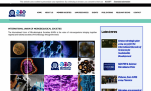 Iums.org thumbnail