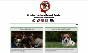 Jackterrier.com.ar thumbnail