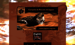 Jaguar.org.mx thumbnail