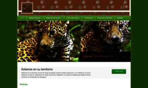 Jaguarconservancy.mx thumbnail