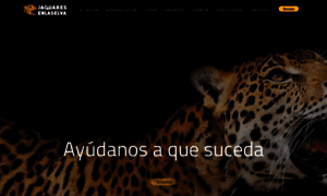 Jaguaresenlaselva.org.mx thumbnail