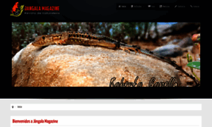 Jangala-magazine.com thumbnail