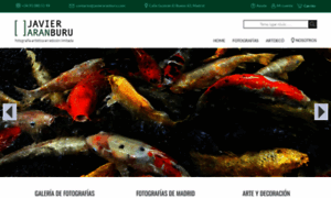 Javieraranburu.com thumbnail