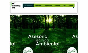 Jjconsultingsas.com thumbnail