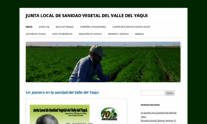 Jlsvyaqui.org.mx thumbnail