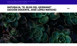 Joselopezmateos.wordpress.com thumbnail