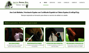 Jroveterinariodecaballos.com thumbnail