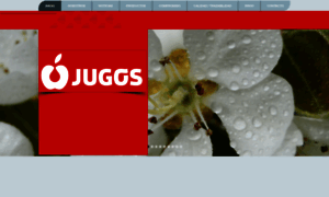 Jugossa.com thumbnail