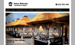 Juncoafricano.com thumbnail