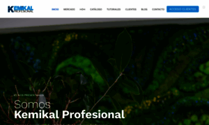 Kemikalprofesional.com thumbnail