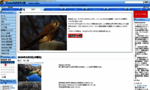 Kestrel.jp thumbnail