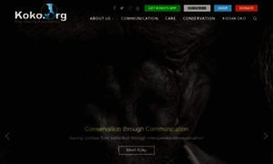 Koko.org thumbnail