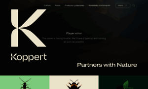 Koppert.cl thumbnail