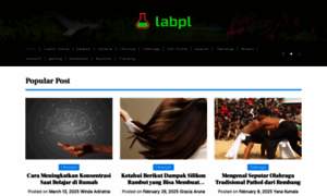 Labplc.mx thumbnail