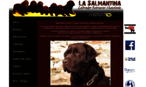 Labradoresdelasalmantina.com thumbnail