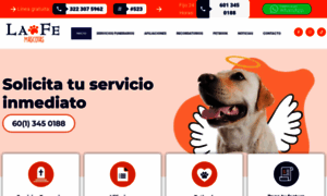 Lafemascotas.com thumbnail