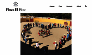 Lafincaelpino.com thumbnail