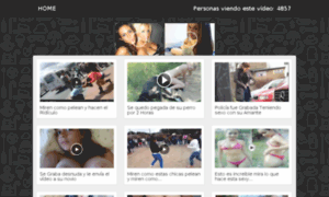 Lainformativa365.info thumbnail