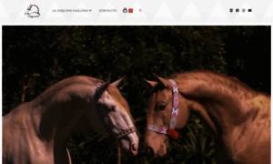 Lajaquimavaquera.com thumbnail