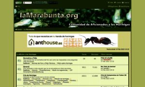 Lamarabunta.com thumbnail