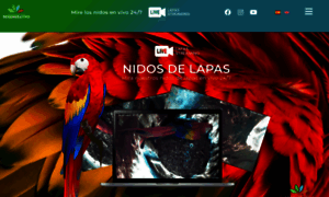 Lapasrojaspuntaleona.com thumbnail