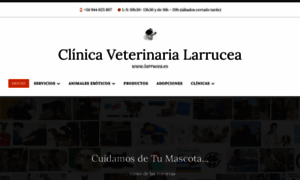 Larrucea.es thumbnail