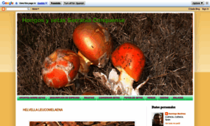 Lassetasyloshongosmicologiacoquense.blogspot.com thumbnail