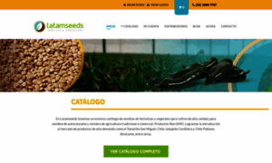 Latamseeds.mx thumbnail