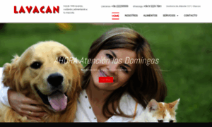 Lavacan.cl thumbnail