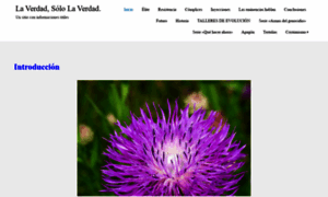 Laverdadsololaverdad.com thumbnail