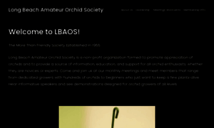 Lbaos.com thumbnail
