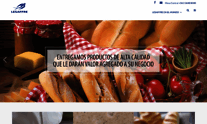 Lesaffre.cl thumbnail