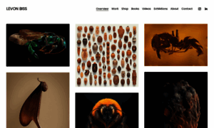 Levonbiss.com thumbnail