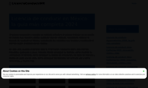 Licenciaconducirmx.com thumbnail