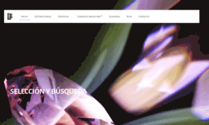 Liderbro.com thumbnail