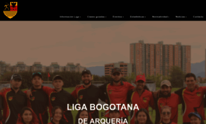 Ligabogotanadearqueria.com thumbnail
