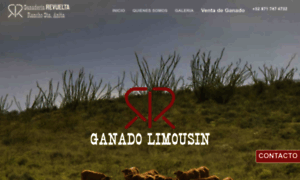 Limousinrevuelta.com thumbnail