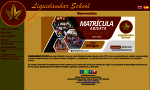 Liquidambarschool.com thumbnail